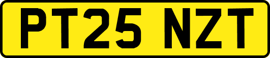 PT25NZT