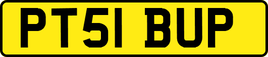 PT51BUP