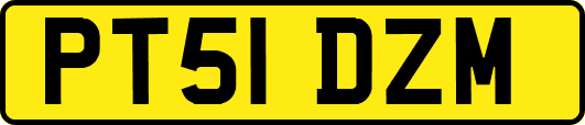 PT51DZM
