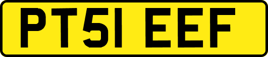 PT51EEF