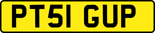 PT51GUP
