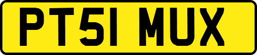 PT51MUX