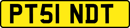 PT51NDT
