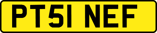 PT51NEF