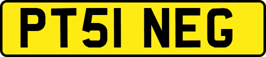 PT51NEG