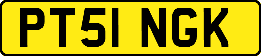 PT51NGK