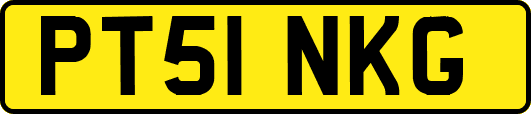 PT51NKG