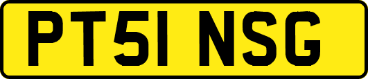 PT51NSG