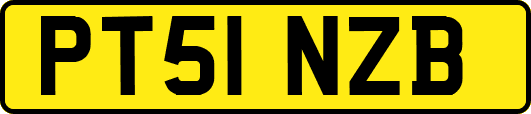 PT51NZB
