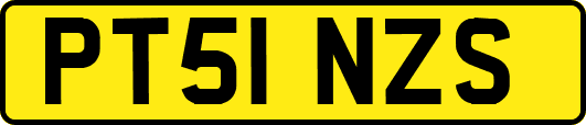 PT51NZS
