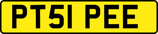 PT51PEE