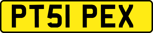 PT51PEX