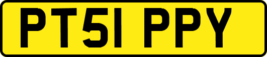PT51PPY