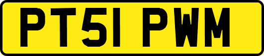 PT51PWM