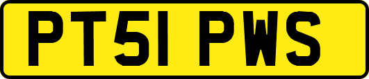 PT51PWS
