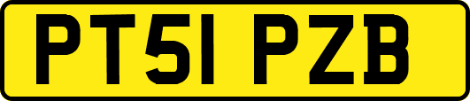 PT51PZB
