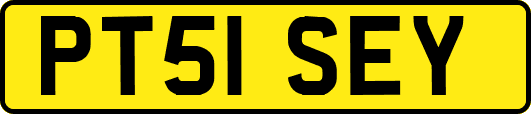 PT51SEY