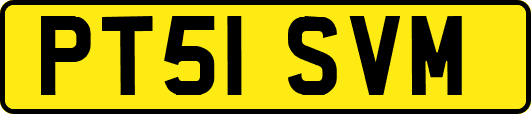 PT51SVM