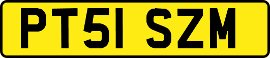 PT51SZM