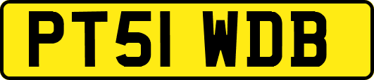 PT51WDB