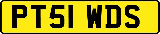 PT51WDS