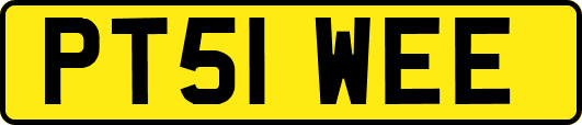 PT51WEE