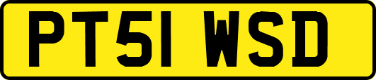 PT51WSD
