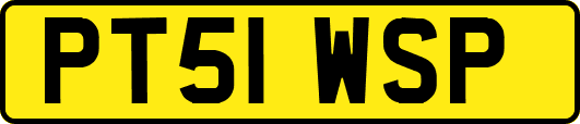 PT51WSP