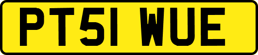PT51WUE
