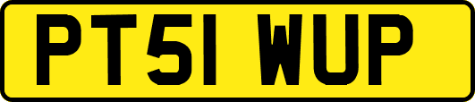 PT51WUP
