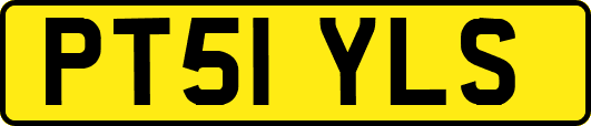 PT51YLS