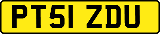 PT51ZDU