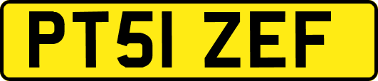 PT51ZEF
