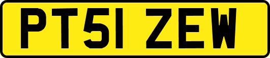PT51ZEW