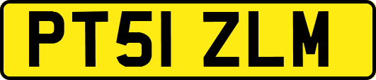 PT51ZLM