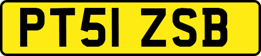 PT51ZSB