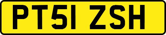 PT51ZSH