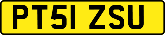 PT51ZSU