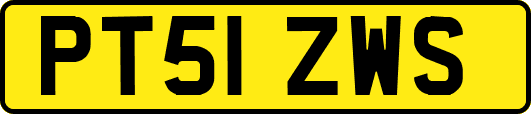 PT51ZWS