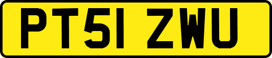 PT51ZWU