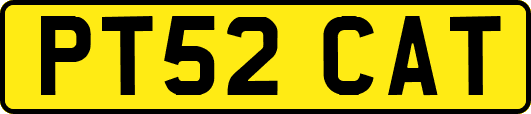 PT52CAT