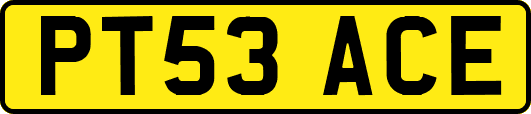 PT53ACE