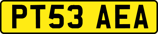 PT53AEA