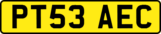PT53AEC