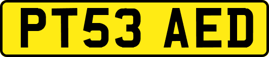 PT53AED
