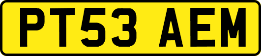 PT53AEM