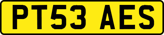 PT53AES