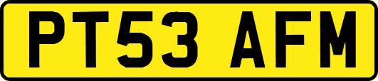 PT53AFM