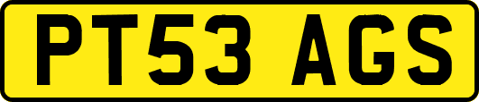 PT53AGS