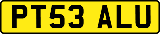 PT53ALU